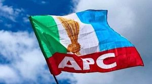 APC-flag-1024x570-1-1.jpeg
