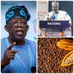 NACCIMA President Commends Tinubu’s Ban on Raw Cocoa Exports, Describes Policy as a Bold Step Towards Industrialisation